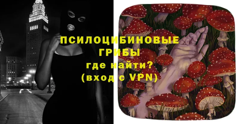 Псилоцибиновые грибы Magic Shrooms  купить закладку  Лыткарино 